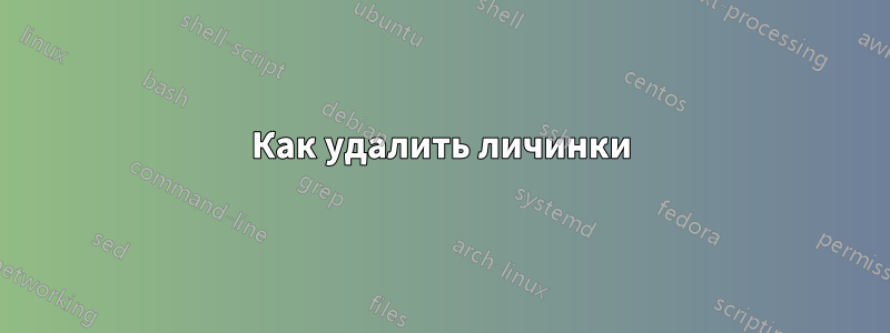 Как удалить личинки