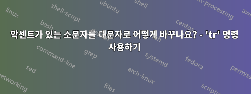 악센트가 있는 소문자를 대문자로 어떻게 바꾸나요? - 'tr' 명령 사용하기