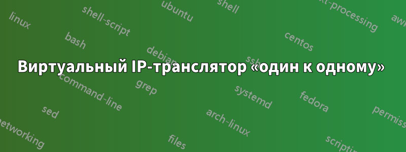 Виртуальный IP-транслятор «один к одному»