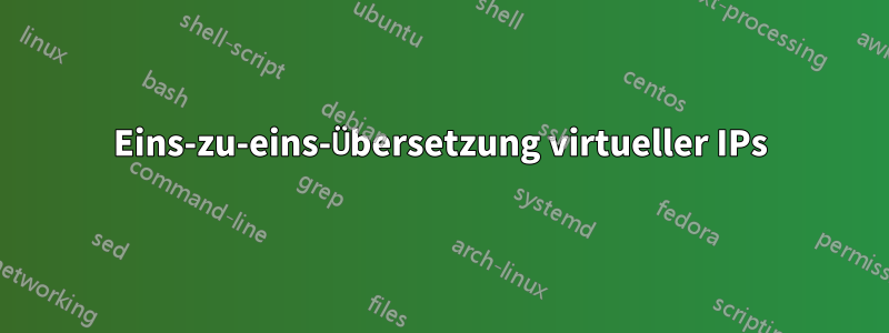 Eins-zu-eins-Übersetzung virtueller IPs