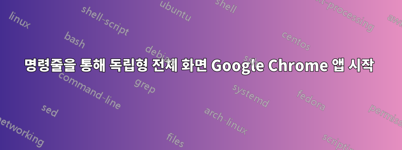 명령줄을 통해 독립형 전체 화면 Google Chrome 앱 시작