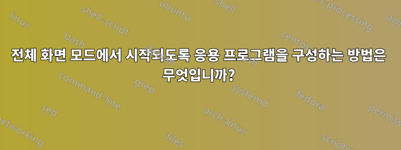 전체 화면 모드에서 시작되도록 응용 프로그램을 구성하는 방법은 무엇입니까?