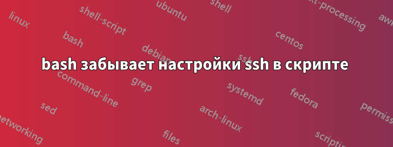 bash забывает настройки ssh в скрипте