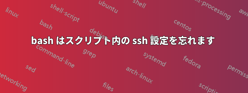 bash はスクリプト内の ssh 設定を忘れます