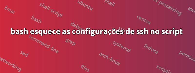 bash esquece as configurações de ssh no script