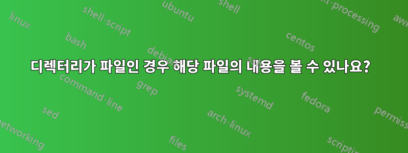 디렉터리가 파일인 경우 해당 파일의 내용을 볼 수 있나요? 