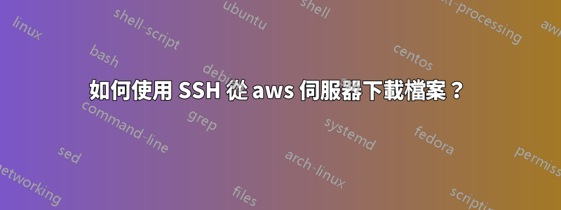 如何使用 SSH 從 aws 伺服器下載檔案？