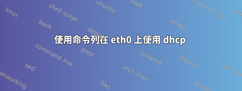 使用命令列在 eth0 上使用 dhcp