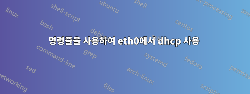 명령줄을 사용하여 eth0에서 dhcp 사용