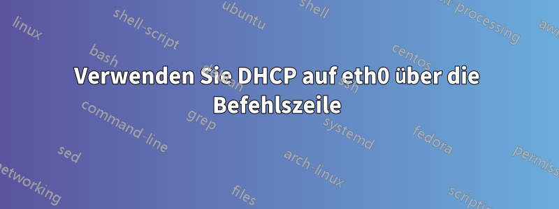 Verwenden Sie DHCP auf eth0 über die Befehlszeile