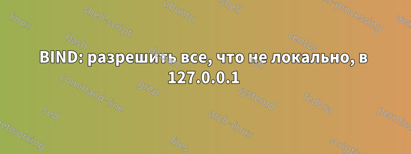 BIND: разрешить все, что не локально, в 127.0.0.1