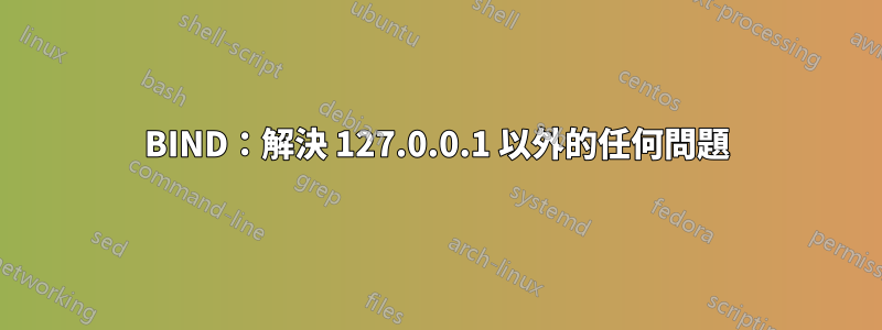 BIND：解決 127.0.0.1 以外的任何問題