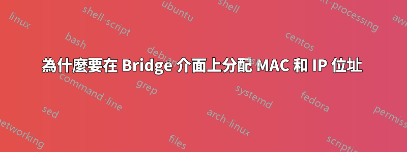 為什麼要在 Bridge 介面上分配 MAC 和 IP 位址