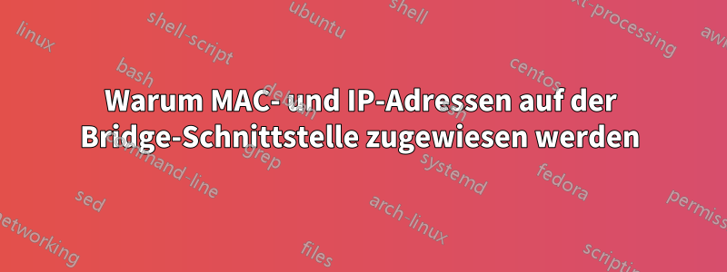 Warum MAC- und IP-Adressen auf der Bridge-Schnittstelle zugewiesen werden