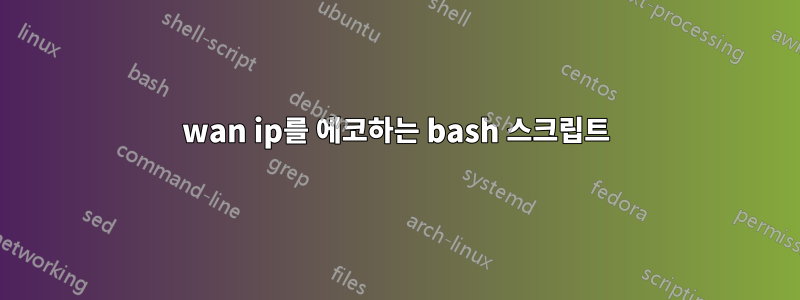 wan ip를 에코하는 bash 스크립트