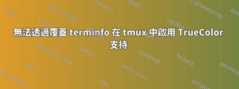 無法透過覆蓋 terminfo 在 tmux 中啟用 TrueColor 支持