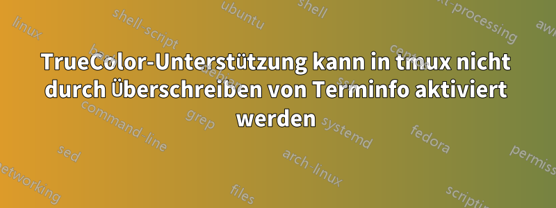 TrueColor-Unterstützung kann in tmux nicht durch Überschreiben von Terminfo aktiviert werden