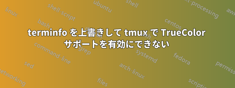 terminfo を上書きして tmux で TrueColor サポートを有効にできない