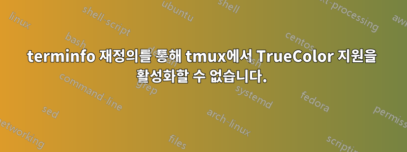 terminfo 재정의를 통해 tmux에서 TrueColor 지원을 활성화할 수 없습니다.