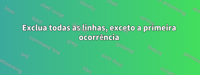 Exclua todas as linhas, exceto a primeira ocorrência