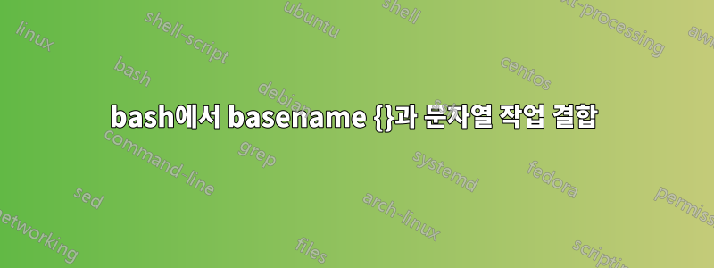 bash에서 basename {}과 문자열 작업 결합