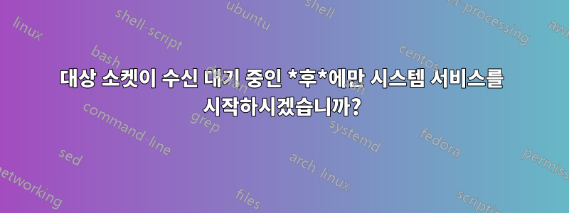 대상 소켓이 수신 대기 중인 *후*에만 시스템 서비스를 시작하시겠습니까?