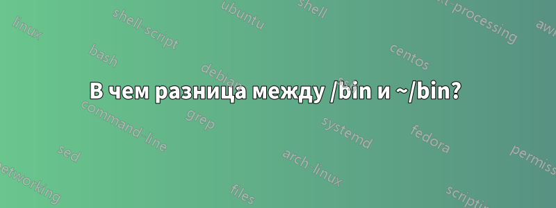 В чем разница между /bin и ~/bin?