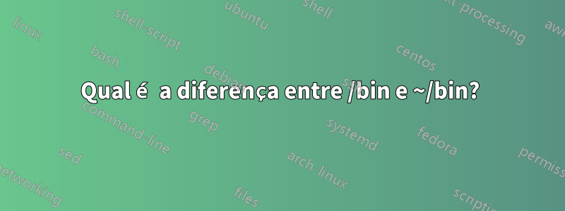 Qual é a diferença entre /bin e ~/bin?