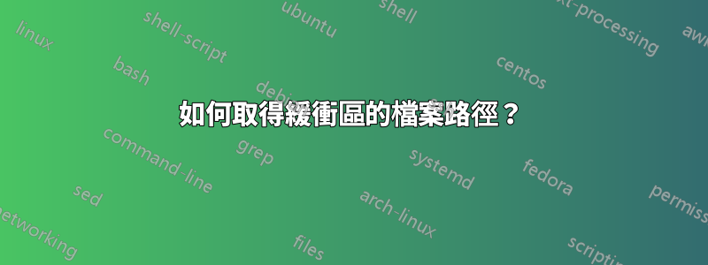 如何取得緩衝區的檔案路徑？