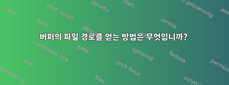 버퍼의 파일 경로를 얻는 방법은 무엇입니까?