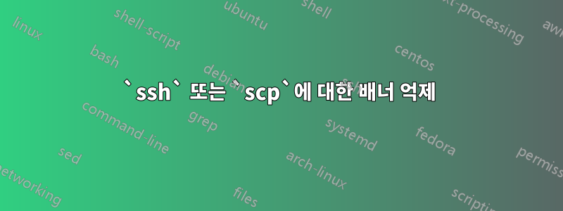 `ssh` 또는 `scp`에 대한 배너 억제