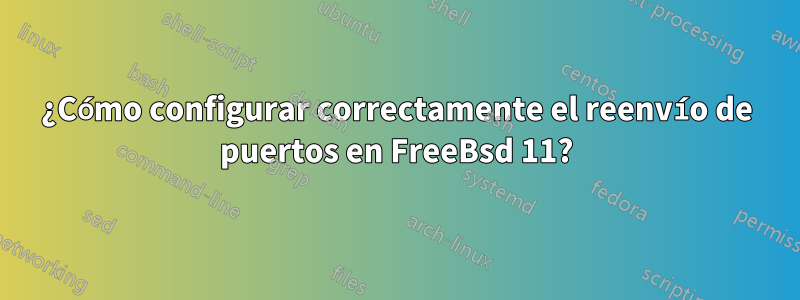 ¿Cómo configurar correctamente el reenvío de puertos en FreeBsd 11?