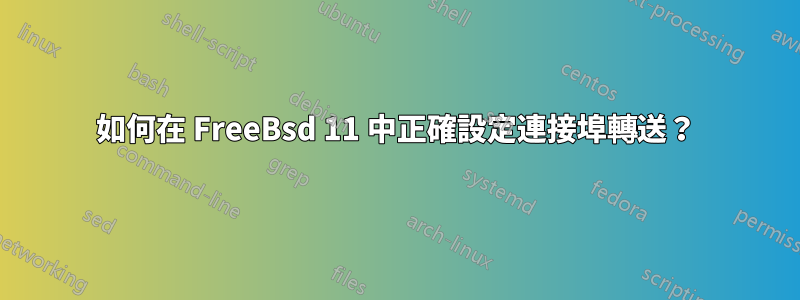 如何在 FreeBsd 11 中正確設定連接埠轉送？