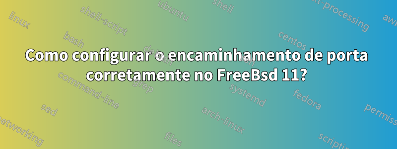 Como configurar o encaminhamento de porta corretamente no FreeBsd 11?