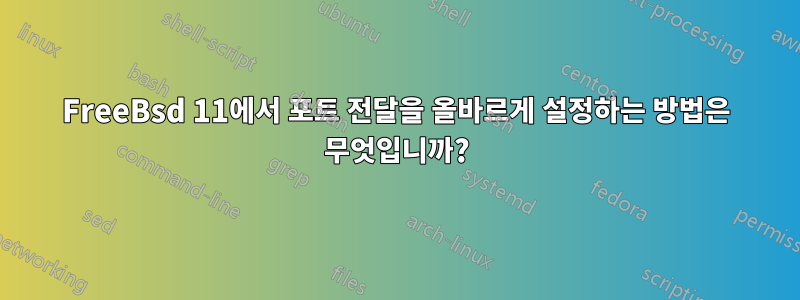 FreeBsd 11에서 포트 전달을 올바르게 설정하는 방법은 무엇입니까?