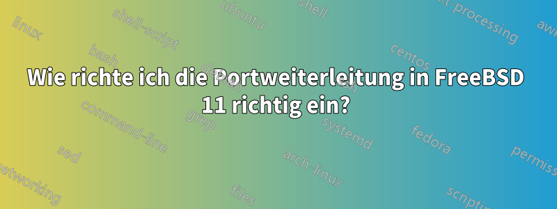 Wie richte ich die Portweiterleitung in FreeBSD 11 richtig ein?