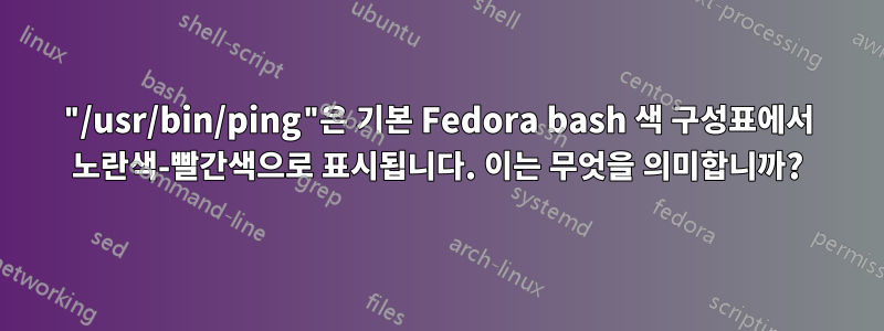 "/usr/bin/ping"은 기본 Fedora bash 색 구성표에서 노란색-빨간색으로 표시됩니다. 이는 무엇을 의미합니까?