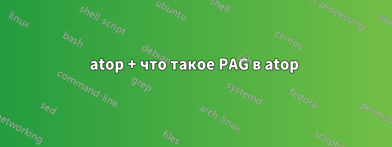 atop + что такое PAG в atop