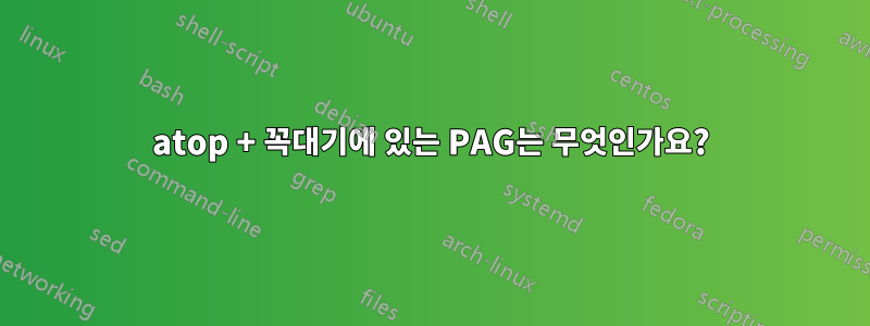 atop + 꼭대기에 있는 PAG는 무엇인가요?