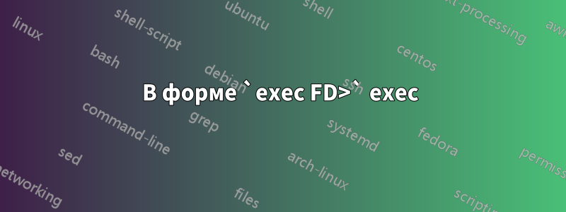 В форме `exec FD>` exec