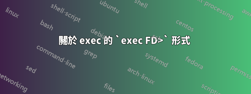 關於 exec 的 `exec FD>` 形式