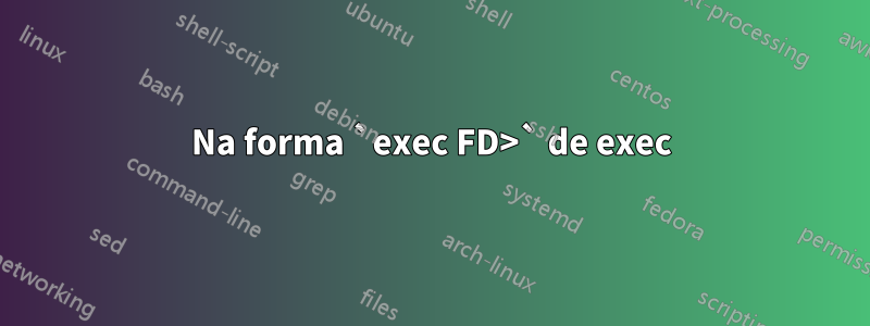 Na forma `exec FD>` de exec