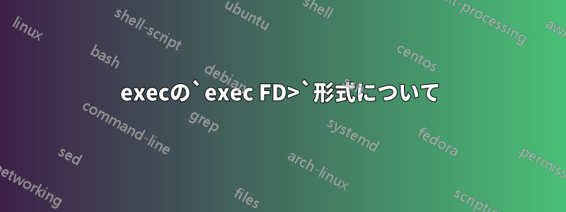 execの`exec FD>`形式について