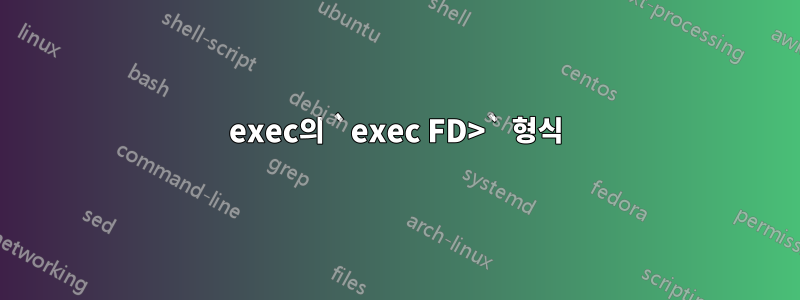 exec의 `exec FD>` 형식