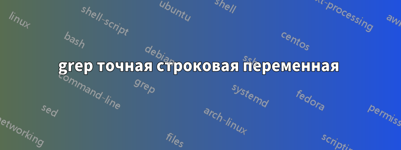 grep точная строковая переменная