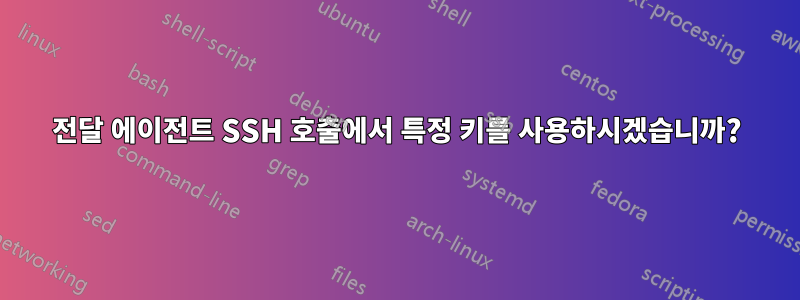 전달 에이전트 SSH 호출에서 특정 키를 사용하시겠습니까?