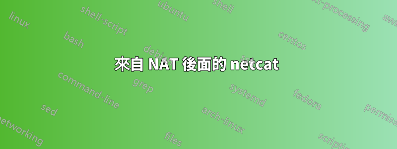 來自 NAT 後面的 netcat