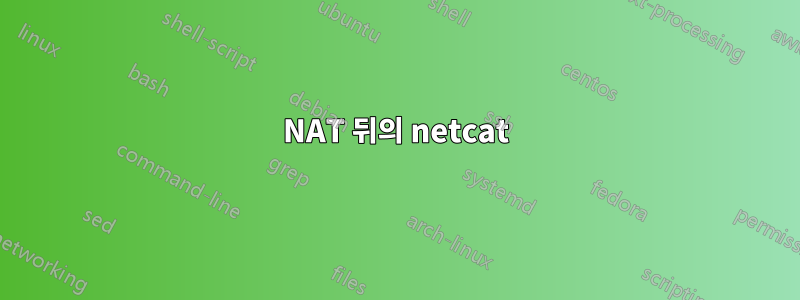 NAT 뒤의 netcat