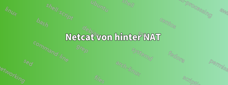 Netcat von hinter NAT