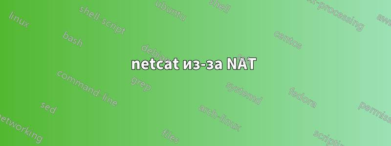 netcat из-за NAT